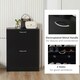 image 6 of HOMCOM Two Drawer Shoe Storage Cabinet Footwear Stand Organiser for 12 Pairs