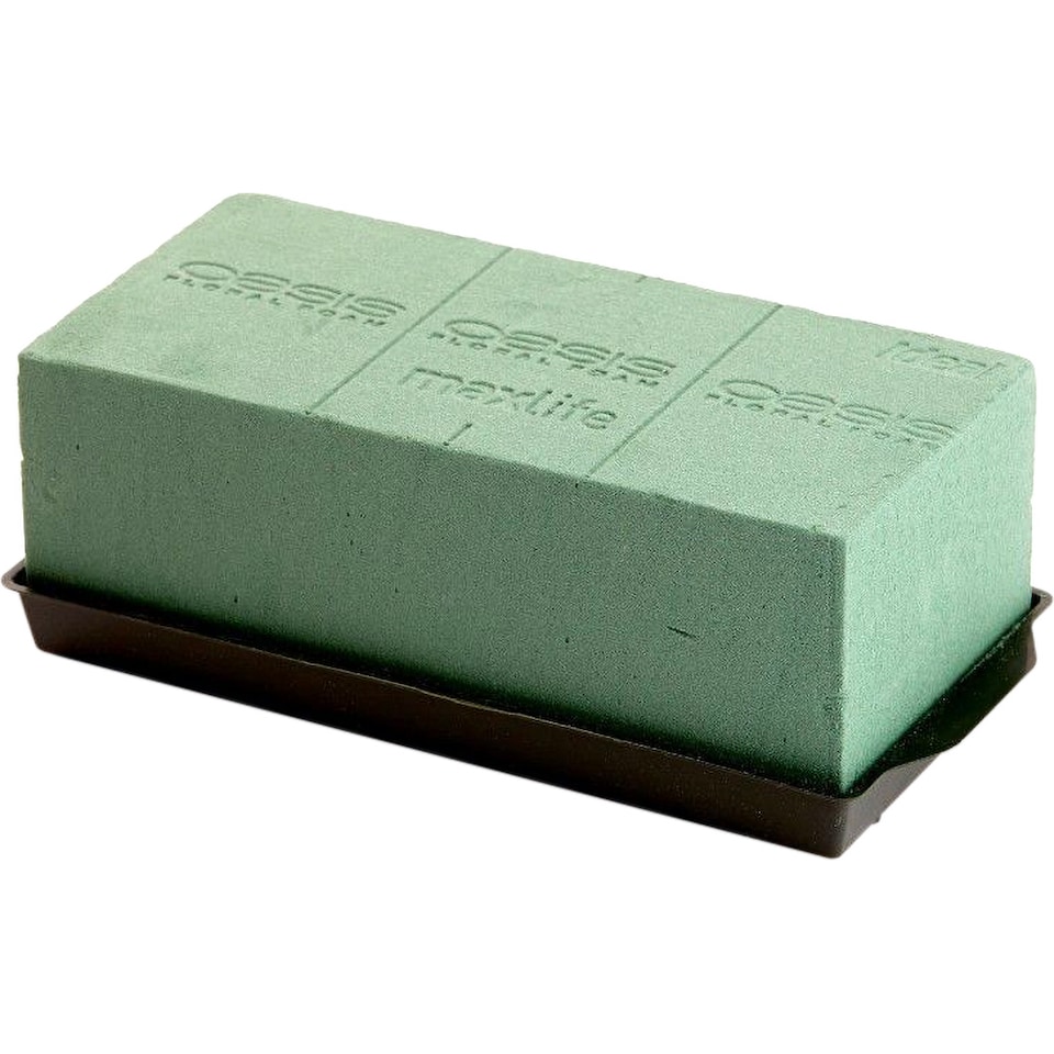 Oasis Creative Floral Foam Tray | Green | Green | One Size | 1