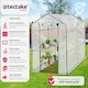 image 2 of Greenhouse - 4 shelf levels, tarpaulin cover, 186 x 120 x 190 cm