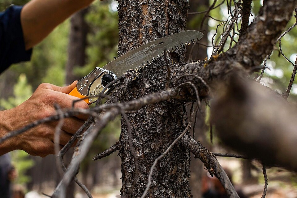 image 1 of Silky 726-17 Pocketboy Curve Folding Pruning Saw 170mm