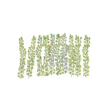 Gaugemaster Scenics Virginia Creepers (12) Kit