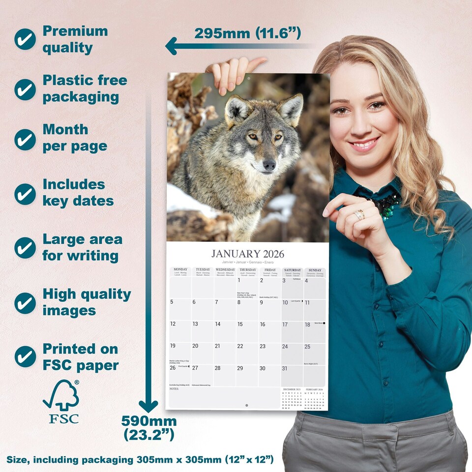 image 1 of Wolves 2026 Calendar | Square Wall Calendar | Animal Gift | Plastic Free Packaging | by Avonside Publishing