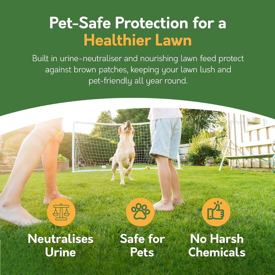 image 1 of Pronto Seed Ultra Patch Patch & Repair Grass Seed Mix 1.2kg - Lawn Repair for Bare Patches | Green | Green lawn repair mix | 1