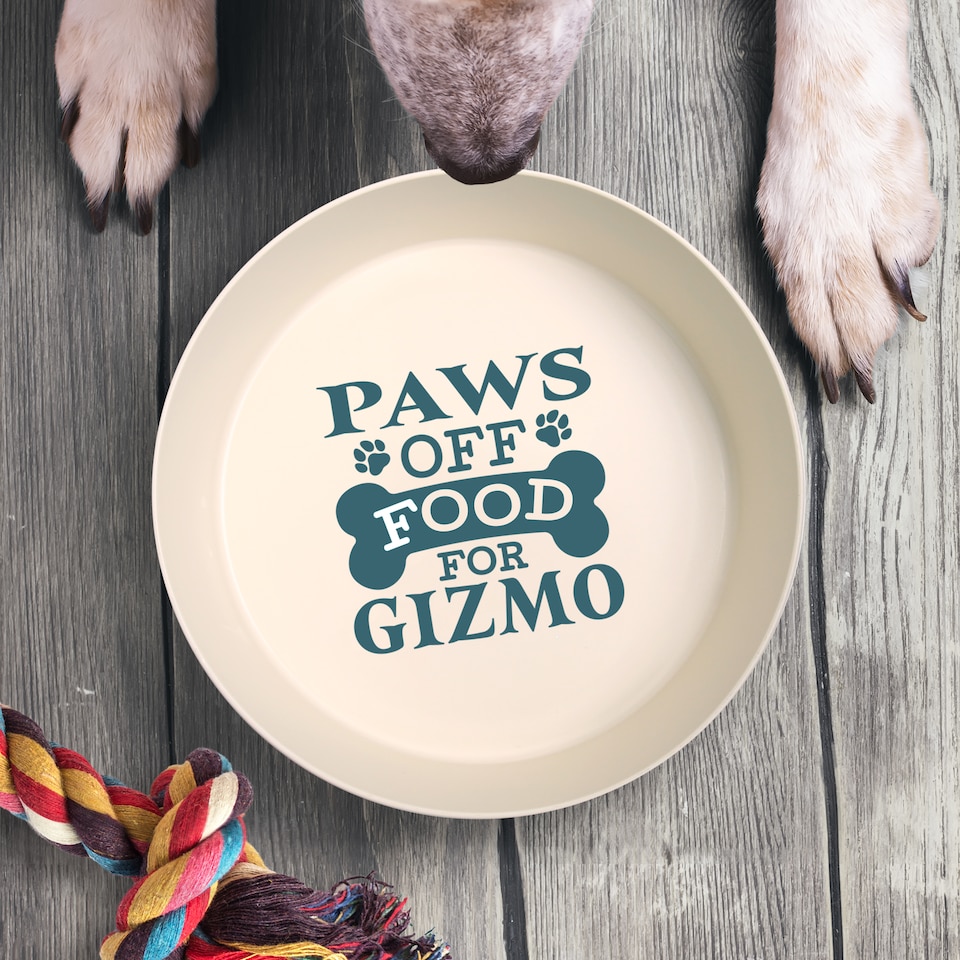 image 1 of Pre-personalised Dog Bowl Featuring Popular Names, Breeds and Captions - Harley - Over 60 Titles Available