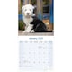 image 3 of Old English Sheepdog 2026 Calendar | Square Wall Calendar | Dog Breed Gift | Plastic Free Packaging | by Avonside Publishing