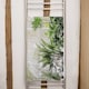 image 2 of Green plants in botanical gardens Designer Bath Towel | Multi