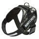 image 9 of Dog Body Harness - Bunty Yukon Harness Red | S