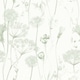 image 1 of Muriva Catherine Lansfield Meadowsweet Floral Wallpaper - Sage Green - 10m x 53cm Green