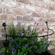 image 2 of Tom Chambers Cottage Heavy Duty Black Metal Steel Herbaceous Garden Plant Support Arc Small 60cm x 36cm
