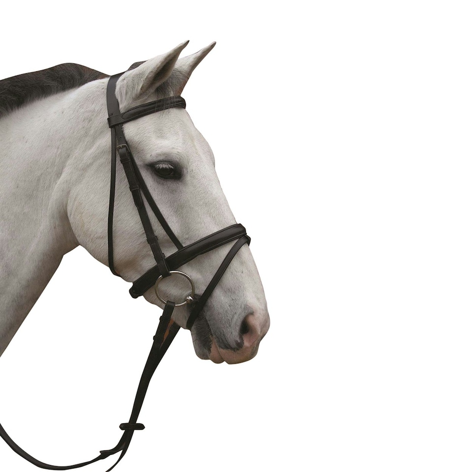 image 1 of Hy Padded Flash Bridle with Rubber Grip Reins - Black - Pony