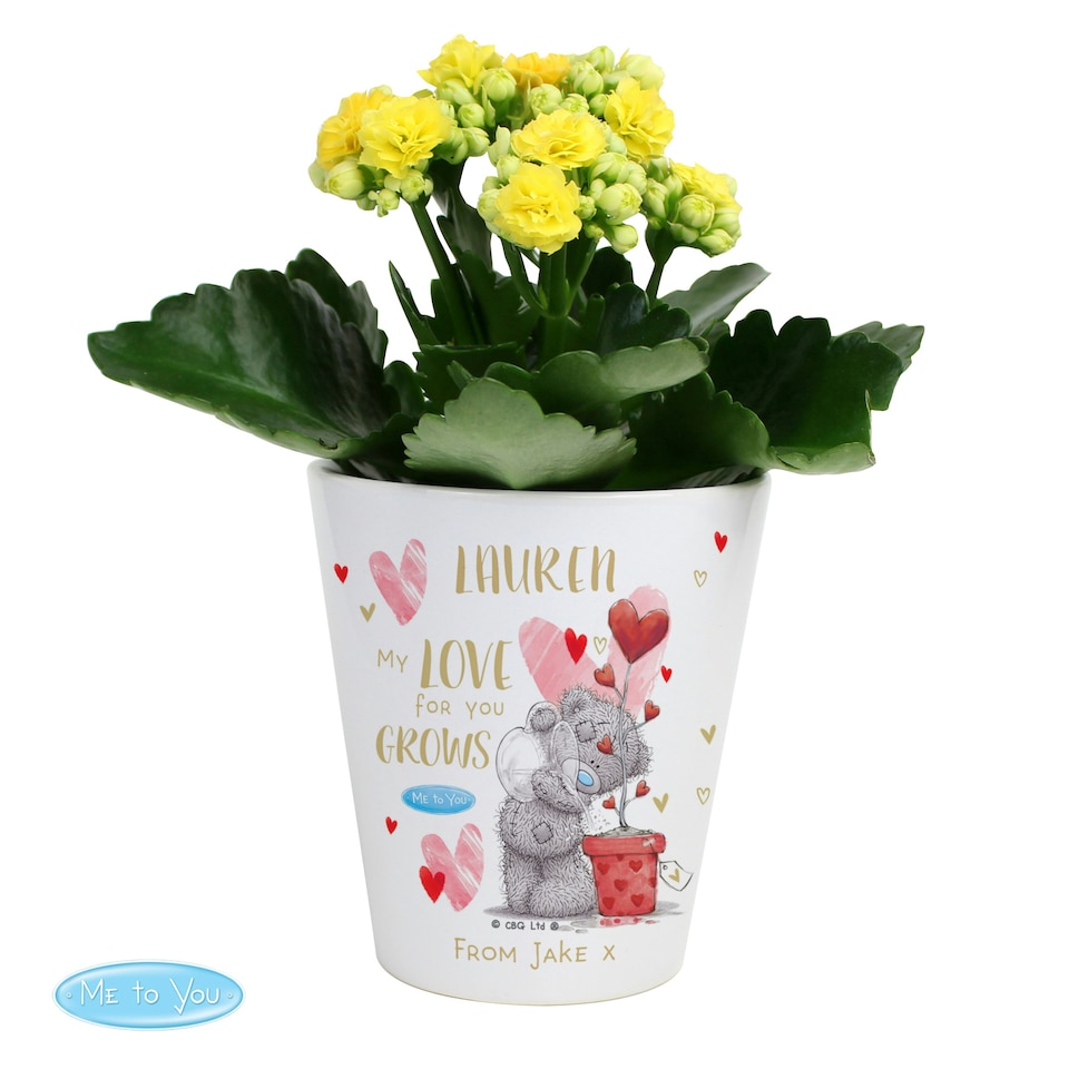 image 1 of Personalised Me To You Love Grows Plant Pot | White
