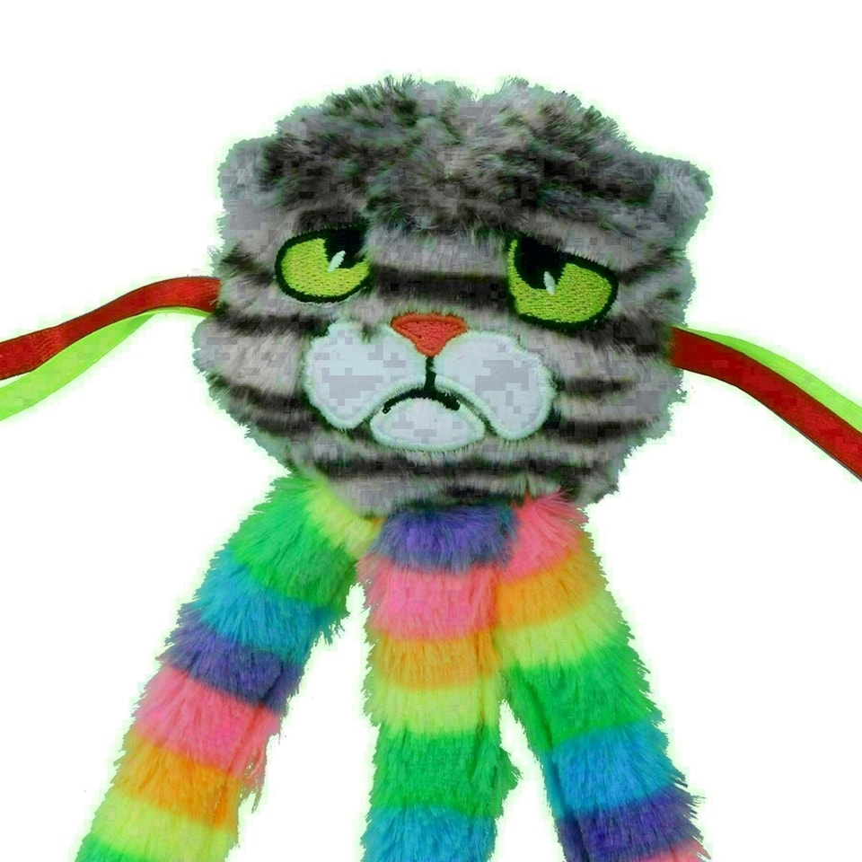 image 1 of Cat Kitten Catnip Filled Interactive Moody Moggy Rainbow Grab Play Toy