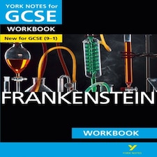 Frankenstein York Notes Gcse English Literature Workbook - For 2026 2027 Exams