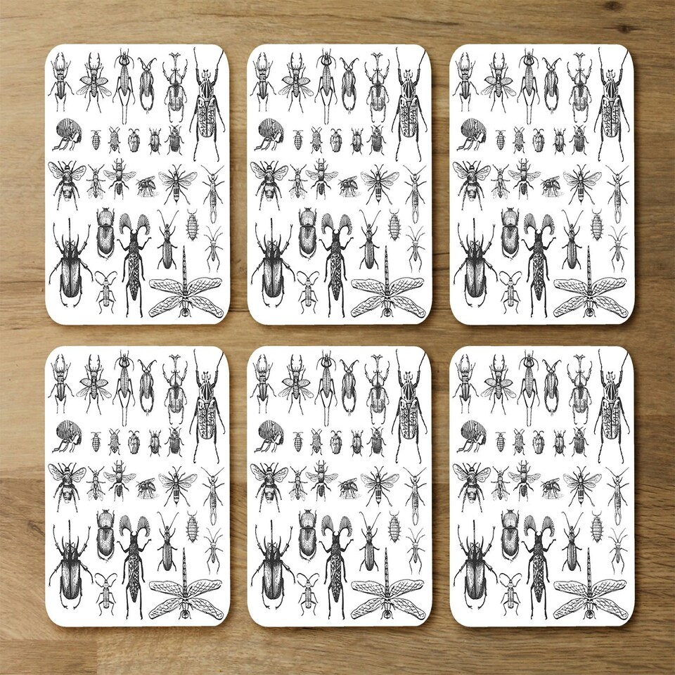 image 1 of big set of insects bugs beetles and bees, fleas many species in vintage old hand drawn style (Coaster)