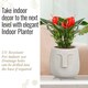 image 3 of Textured Concrete Effect Beige Oval Face Planter Indoor L19 D18 H18.5 cm, 3.3 ltrs Cap.