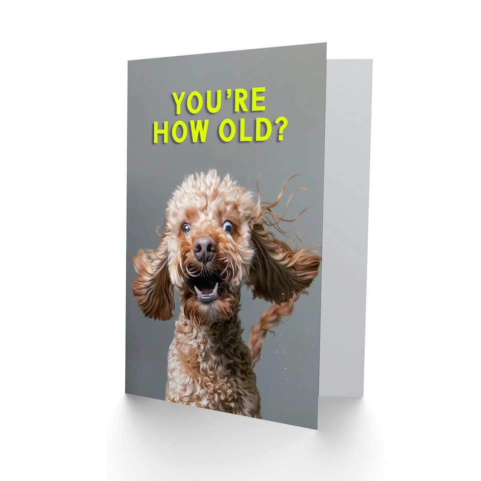 image 1 of Shocked Cockapoo How Old Joke Cockapoo For Him Birthday Card