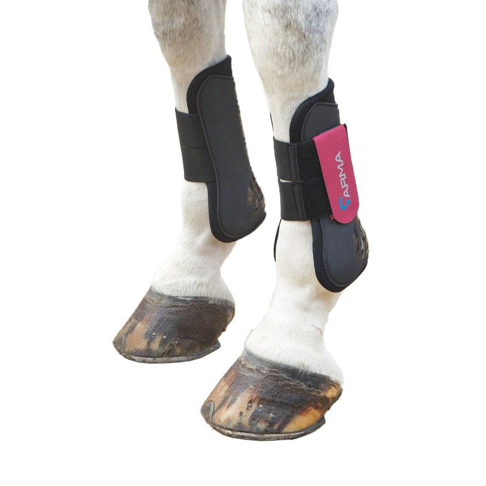 ARMA Horse Tendon Boots - Black/Raspberry - Cob