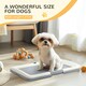 image 5 of PawHut Dog Toilet Tray, Dog Litter Tray for Training Dogs, 63 x 49 x 6cm