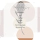 image 4 of Proteas Large Rooibos Tea Canister