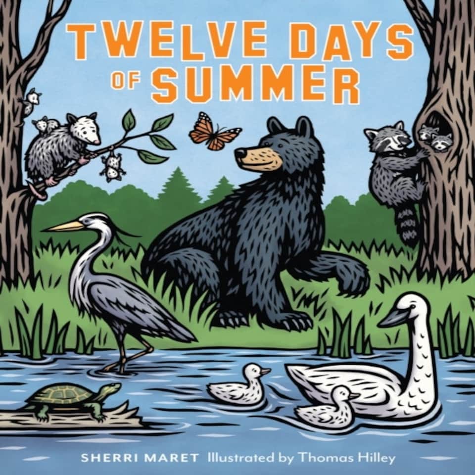 Twelve Days Of Summer