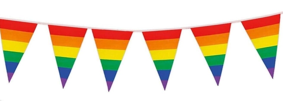 image 1 of Pride Flags Party Bunting 10m with 20 Pennants