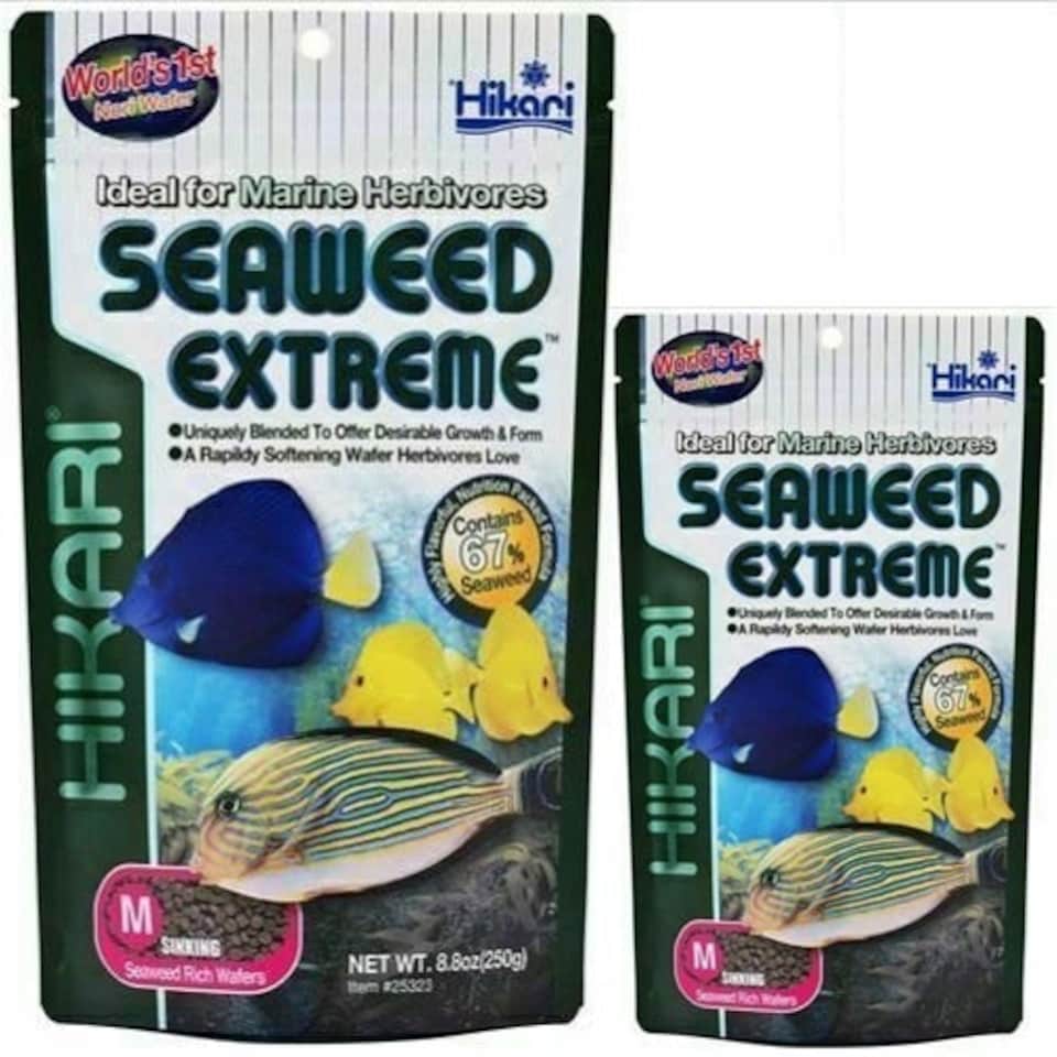 image 1 of Hikari Seaweed Extreme Pellets N/A | 100g
