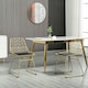 image 2 of HOMCOM Dining Chairs Set of 2, Metal Wire Kitchen Chairs with Back, Gold Tone