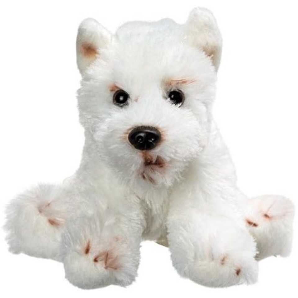 Sitting West Highland Terrier