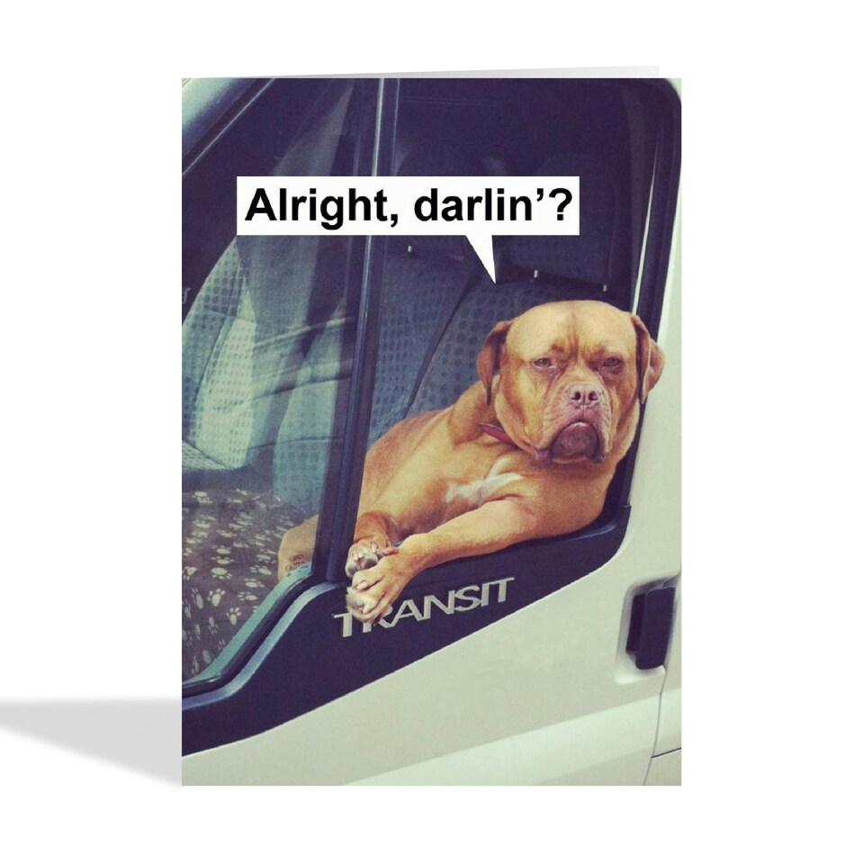 image 1 of Cheeky Dog Anniversary/Valentine's Day Card For Partner