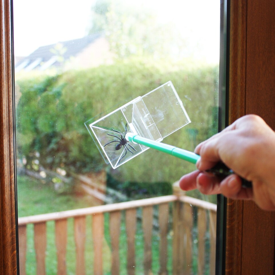image 1 of Katcha Bug Spider & Insect Catcher - 2pc Handle - Green