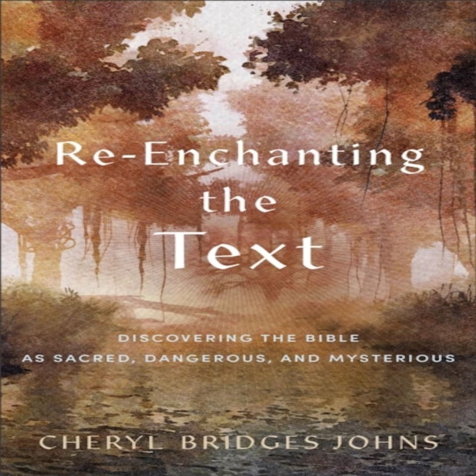 Reenchanting The Text Discovering The Bible As Sacred Dangerous And Mysterious