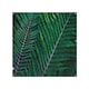 image 1 of Green leaves, abstract flora texture Designer Splash Back | White