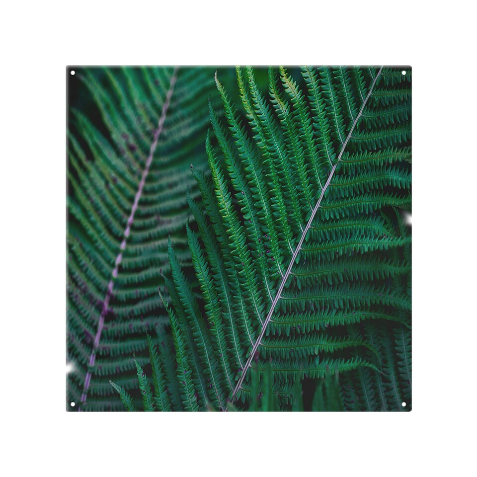 image 1 of Green leaves, abstract flora texture Designer Splash Back | White