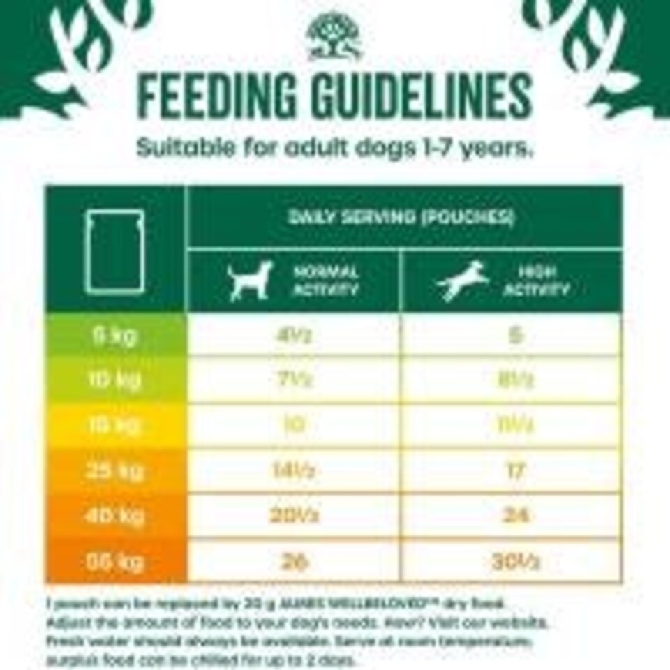 image 1 of James Wellbeloved Grain-Free Adult Dog Wet Food Lamb in Gravy 12x100g