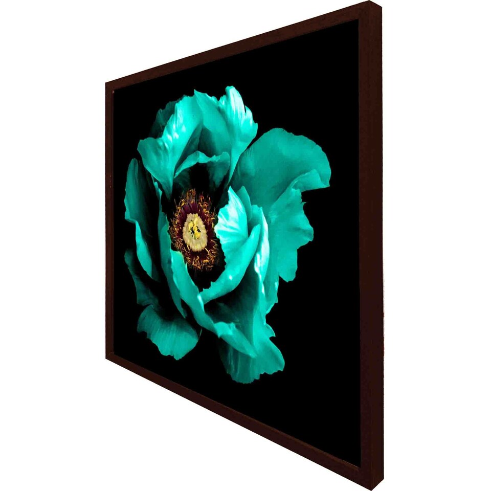 image 1 of Cyan peony flower (Picutre Frame) White | XL