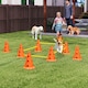 image 2 of PawHut Dog Agility Equipment Set, Four-Piece Adjustable Height Jumping