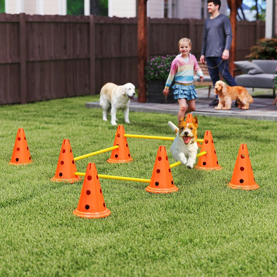 image 1 of PawHut Dog Agility Equipment Set, Four-Piece Adjustable Height Jumping