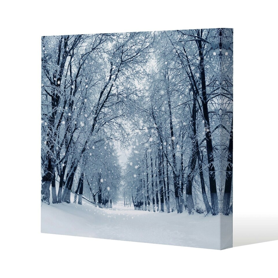 Snowstorm in park (canvas) 90 x 90 x 4cm