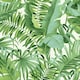image 1 of NuWallpaper NU2906 Maui Peel & Stick Wallpaper, Green Multi