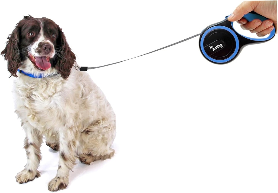 image 1 of Actiaspet Retractable Dog Lead Training Pet Leash 8m Max 50kgs Extendable (Blue)