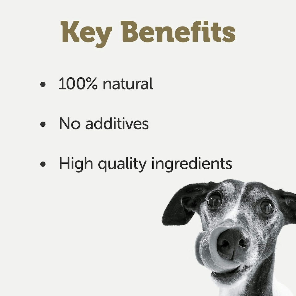 image 1 of Applaws Taste Toppers Natural Wet Dog Food Chicken in Broth 16 x 156g Tins