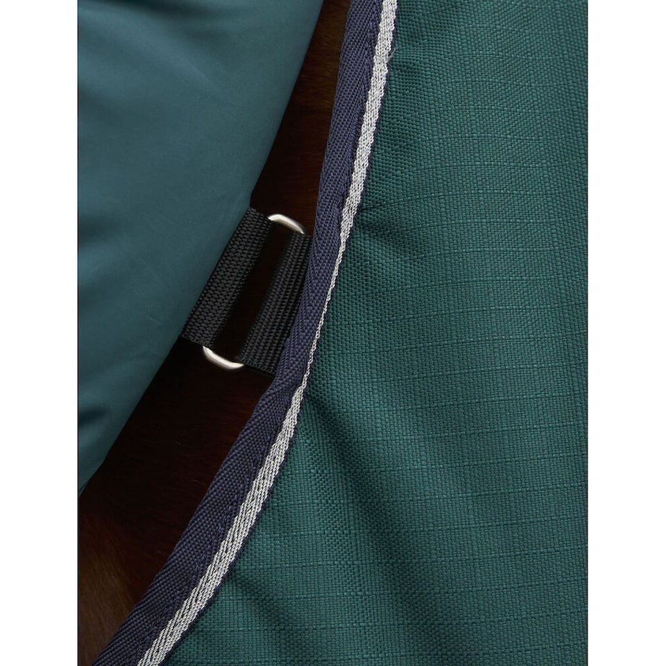 image 1 of Weatherbeeta Comfitec Plus Dynamic Standard-Neck 100g Horse Neck Rug | Green | Forest Green | Cob | 1