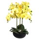 image 1 of Orchid Yellow - Black Ceramic Planter