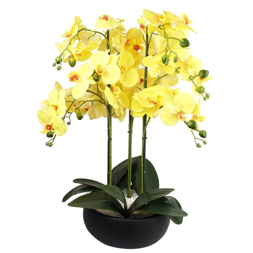 image 1 of Orchid Yellow - Black Ceramic Planter