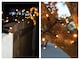 image 6 of Cluster Lights Black Rubber IP65 Copper Gold 35M
