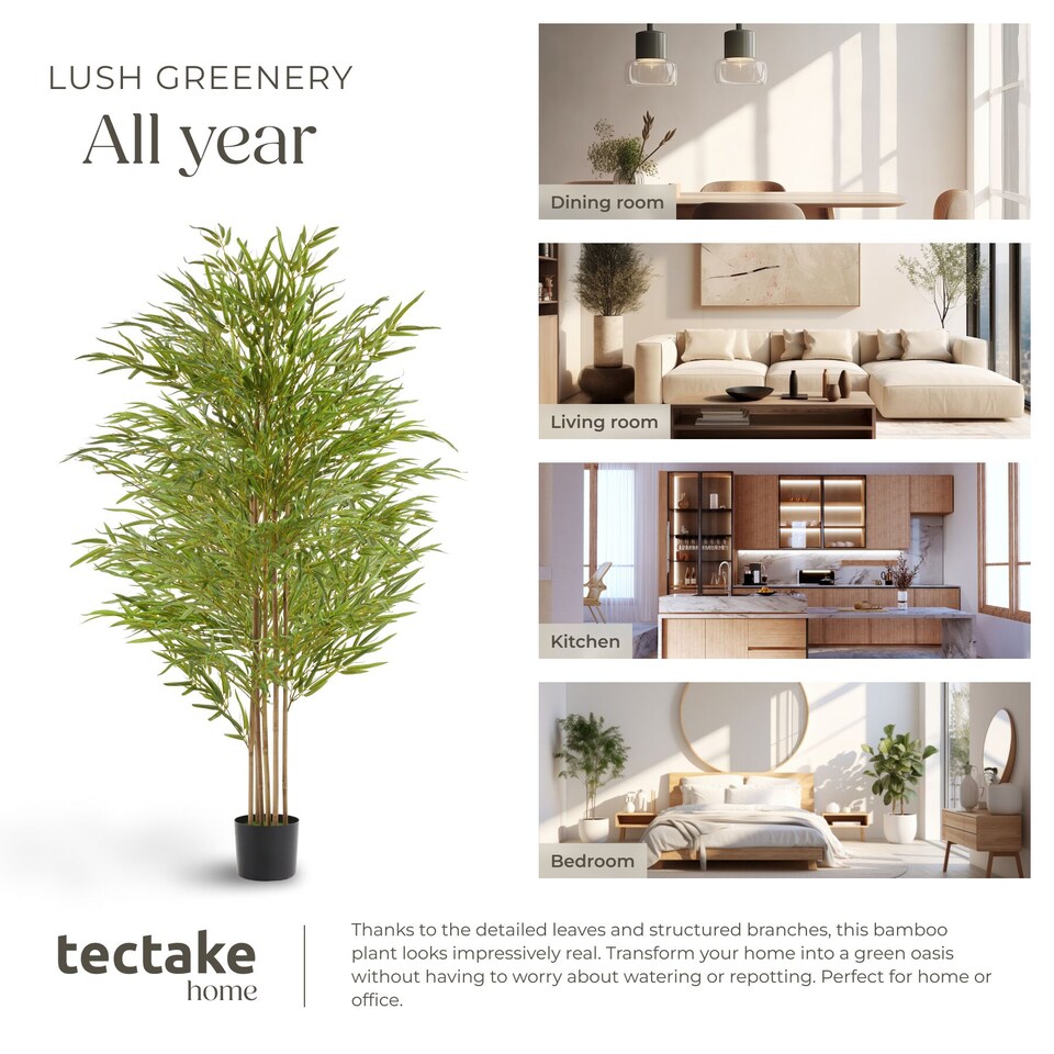 image 1 of Artificial Plant - bamboo grass, realistic look, low-maintenance | Green | green | 50 x 50 x 180 cm | 1