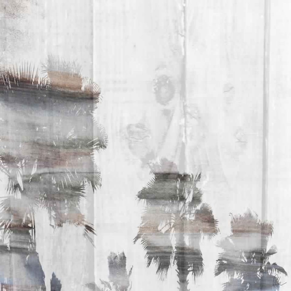 image 1 of Silver Palm (Canvas Print) 12" x 18"