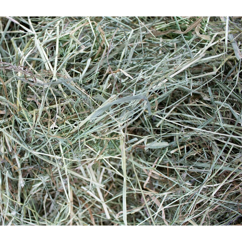 image 1 of Burgess Excel Meadow Feeding Hay Box - 4.5KG
