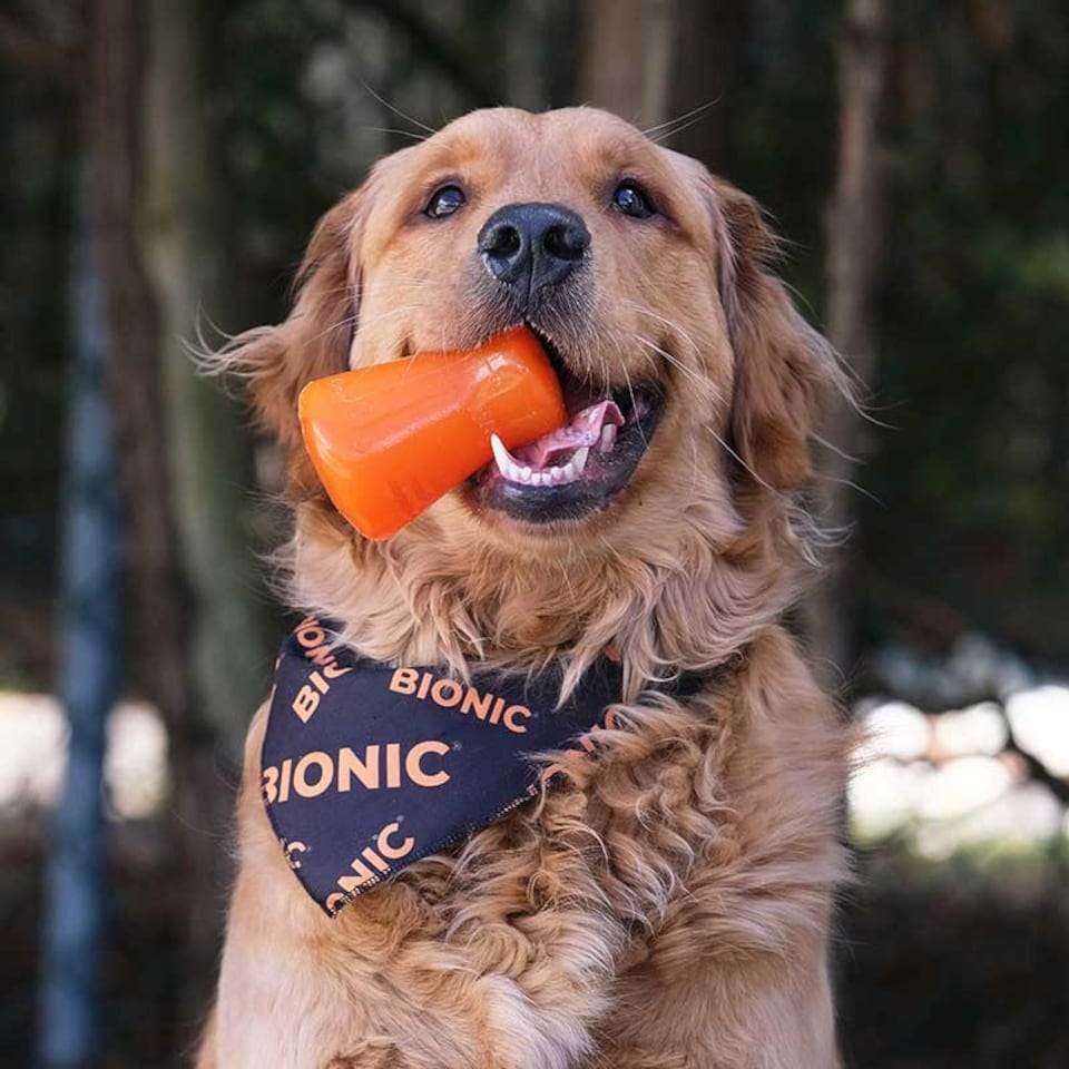 image 1 of BIONIC Treat Shaker Dog Toy 3 Sizes Multi | Size?: Large