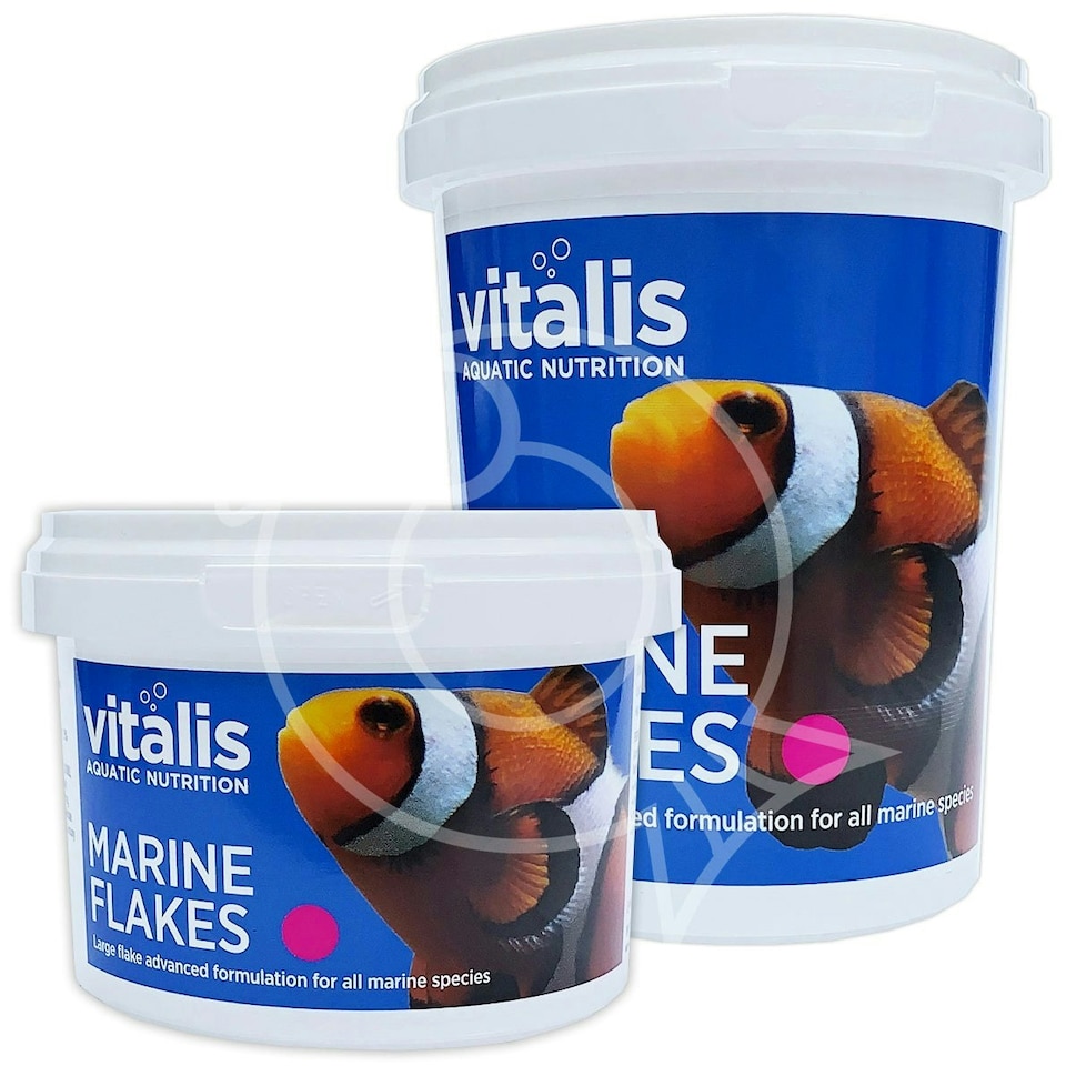 image 1 of Vitalis Marine Flake Saltwater Fish Food N/A | 22g